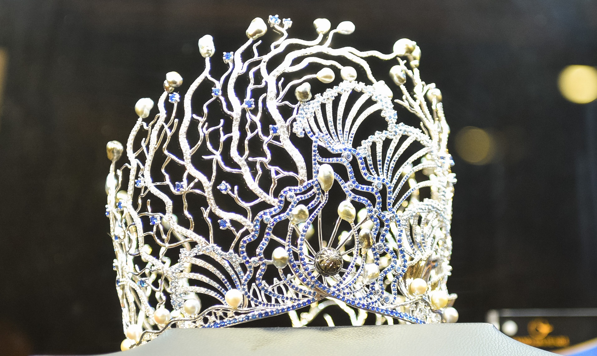 Hoa hau Dai duong 2017 xac lap ky luc vuong mien tri gia 3,2 ty dong hinh anh