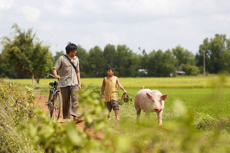 Trailer phim 'Khi con la nha' hinh anh
