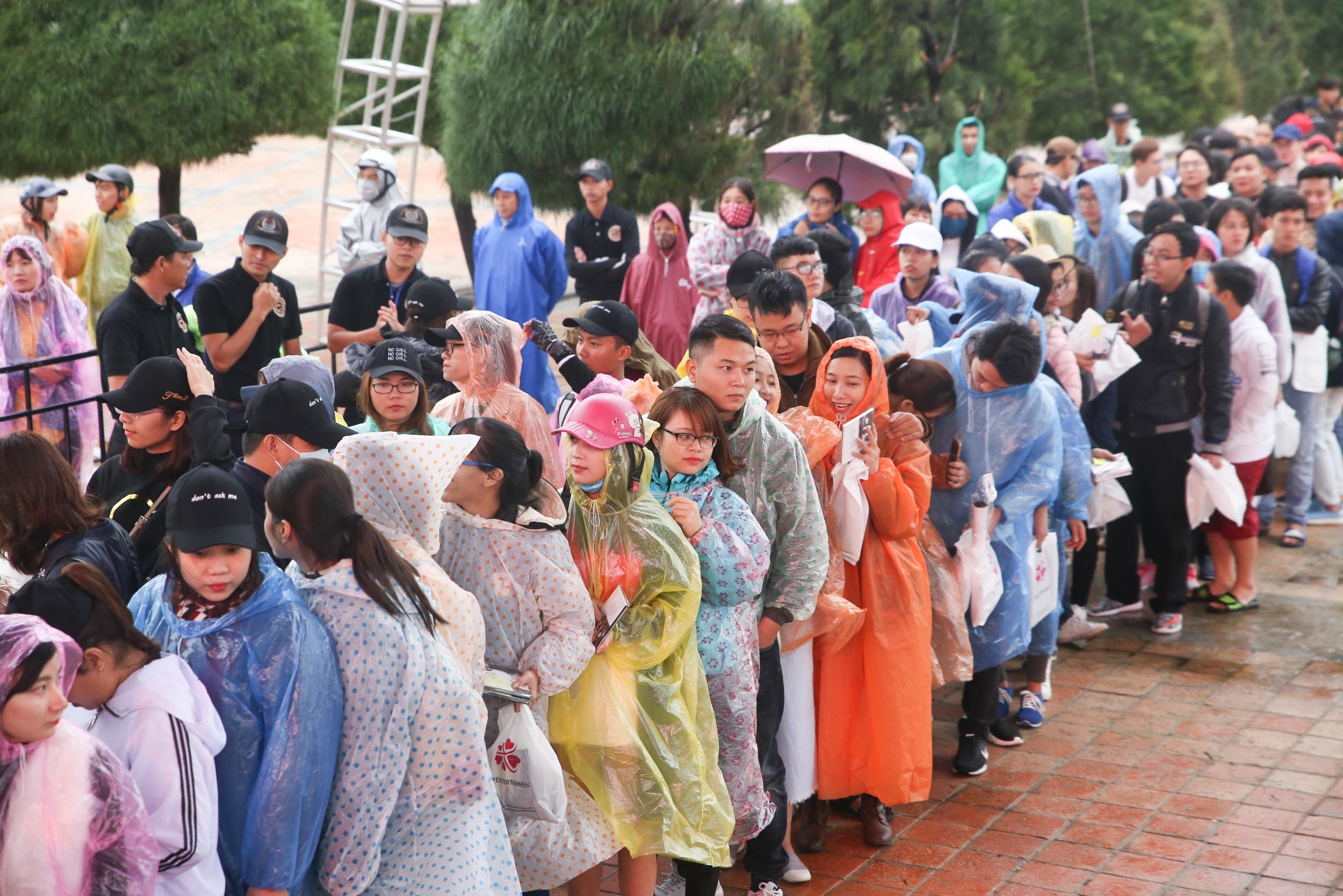 My Tam dem nhac Tam 9 anh 4