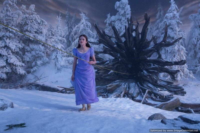 Trailer phim 'Kep hat de va bon vuong quoc' hinh anh