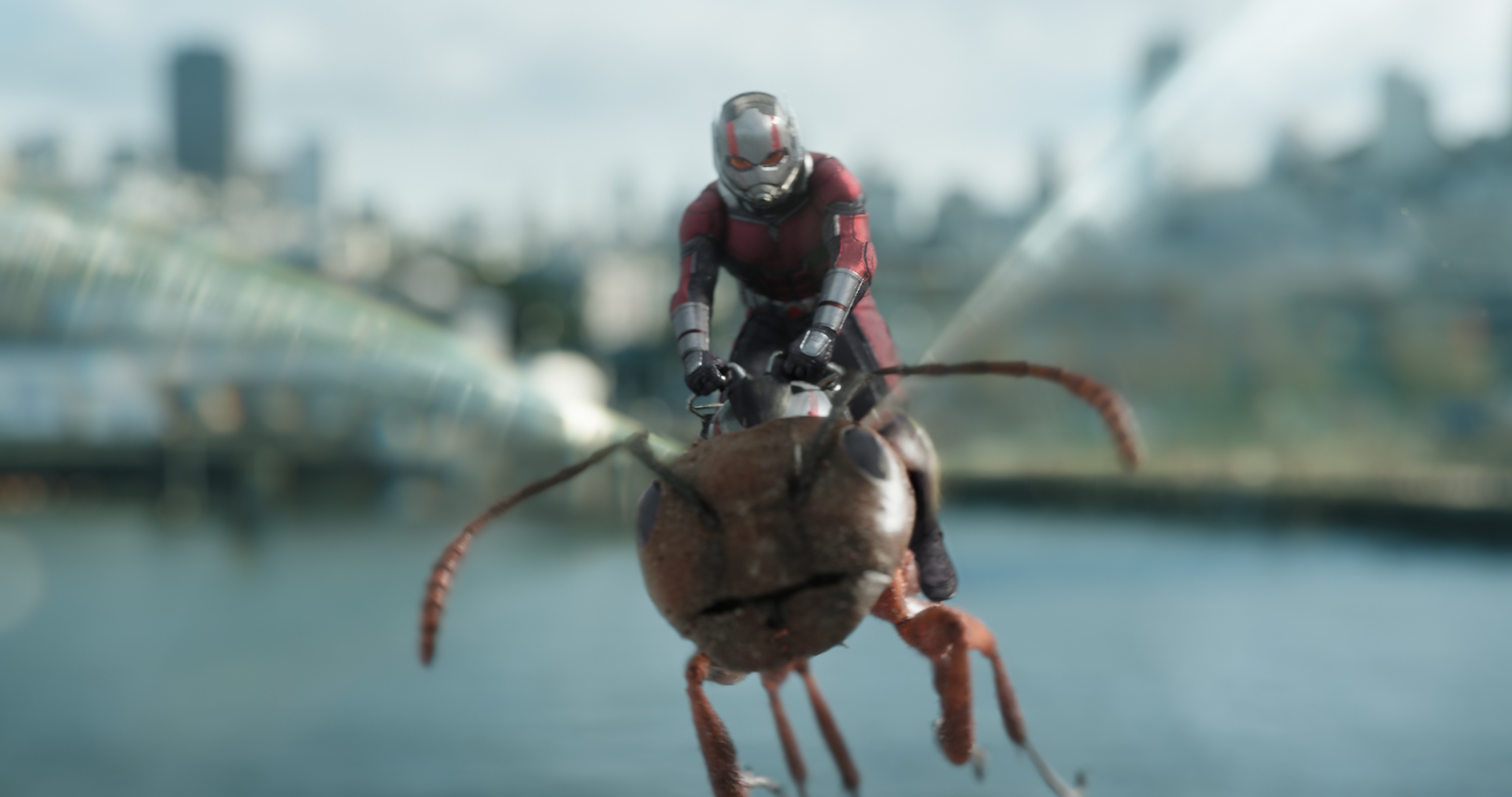 Bom tan Marvel ‘Ant-Man and the Wasp’ nhan nhieu loi khen som hinh anh