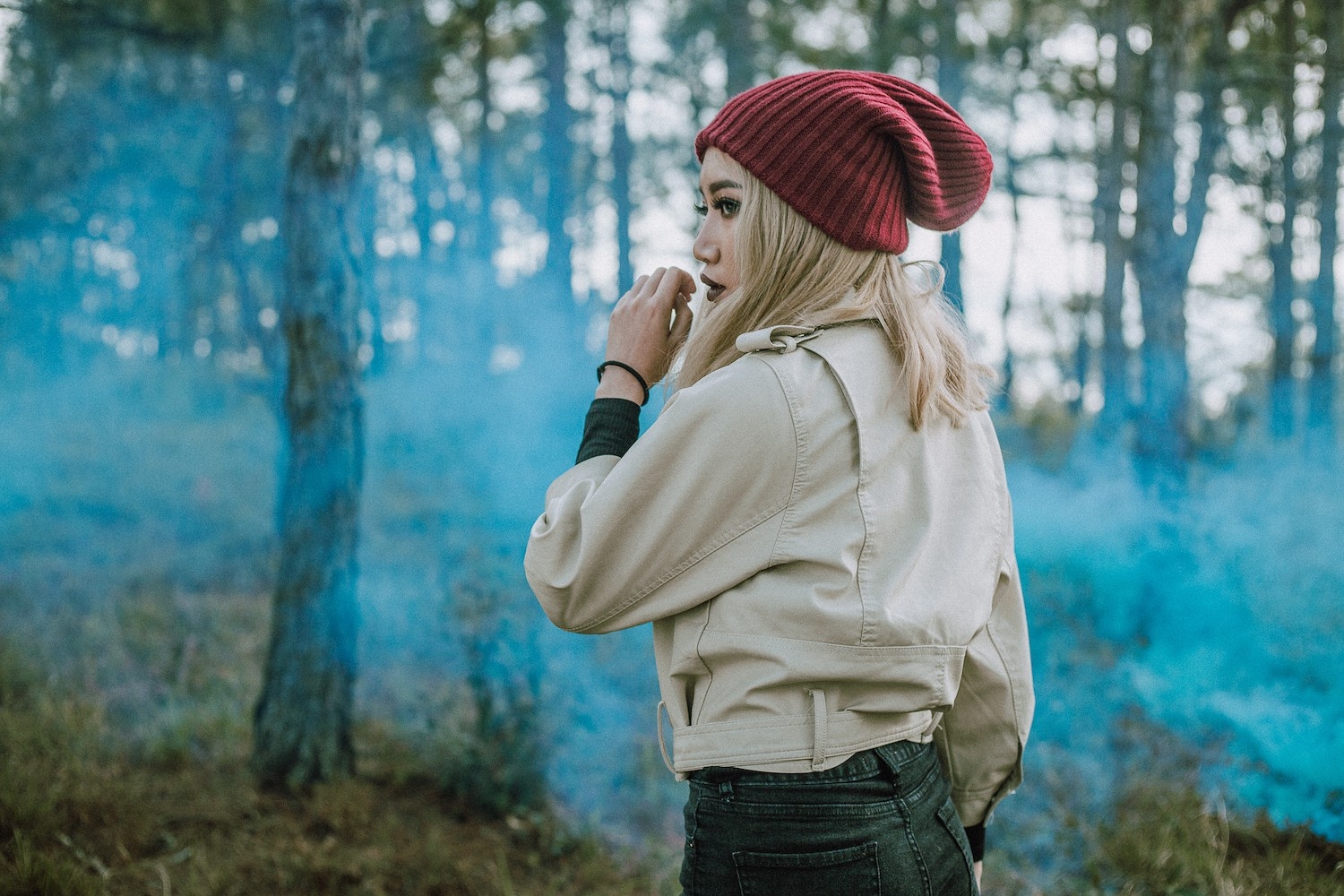 Người lạ ơi organe ảnh 1 Nguoi la oi organe anh 1