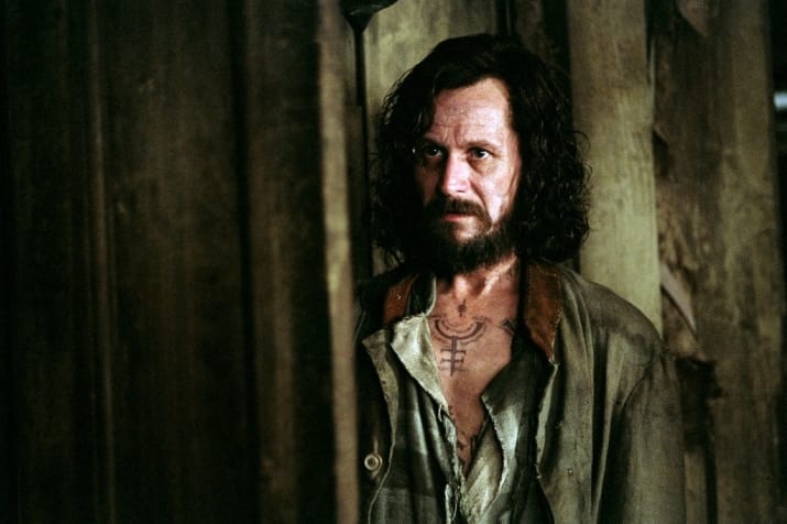 kha nang bien hoa cua Gary Oldman anh 7
