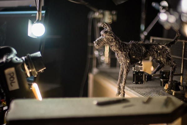 phim hoat hinh Isle of Dogs anh 10