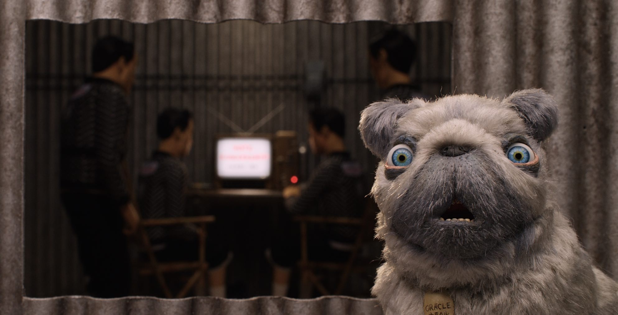 phim hoat hinh Isle of Dogs anh 6