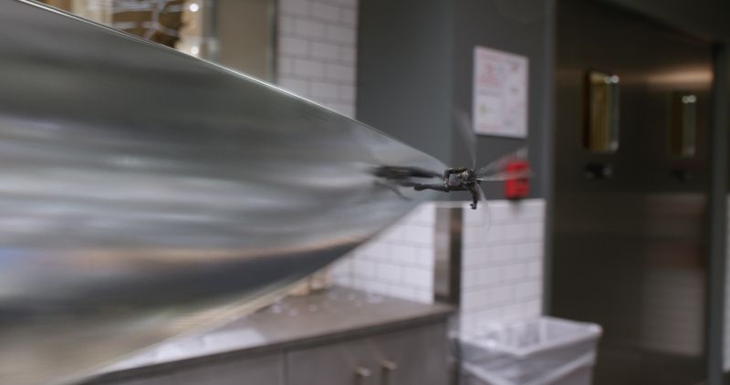 phim Ant-Man and The Wasp anh 6