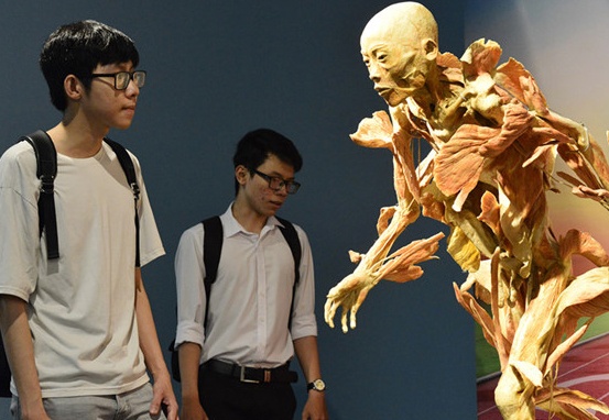 Trien lam co the nguoi bi yeu cau dung hoat dong vi khong trung thuc hinh anh