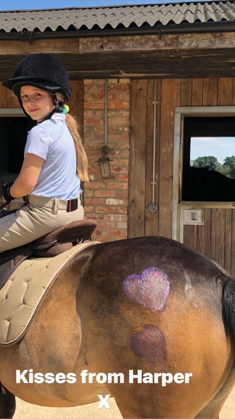 sinh nhat Harper anh 2