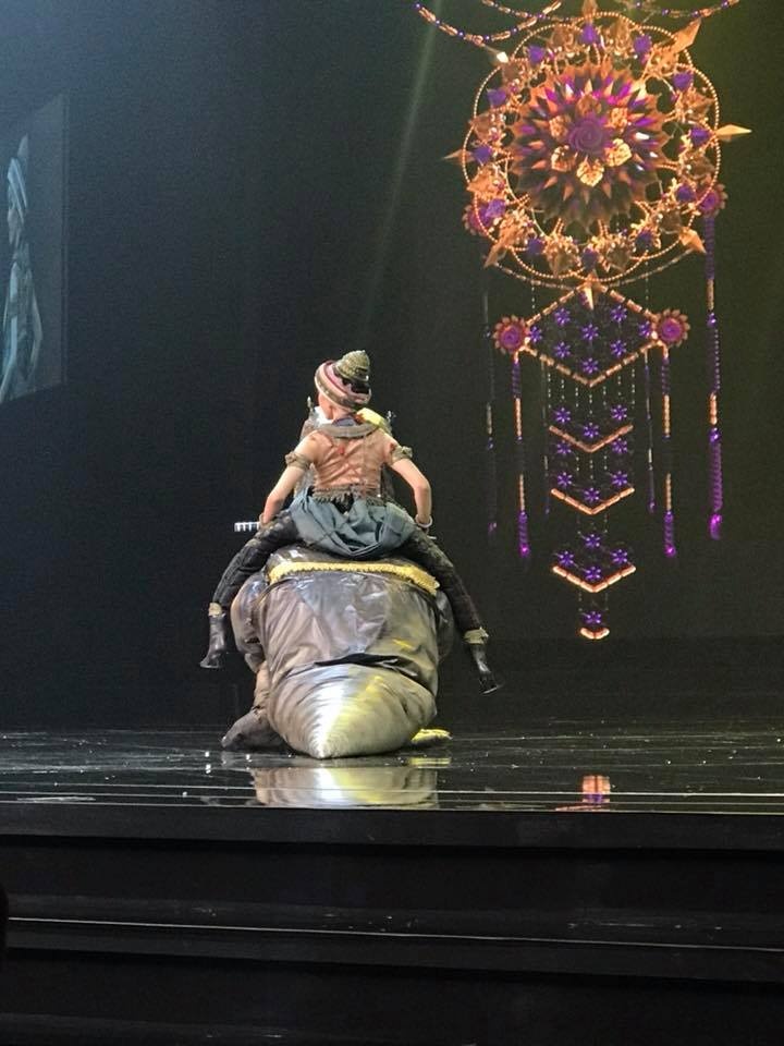 hoa hau hoa binh Thai Lan 2018 anh 3