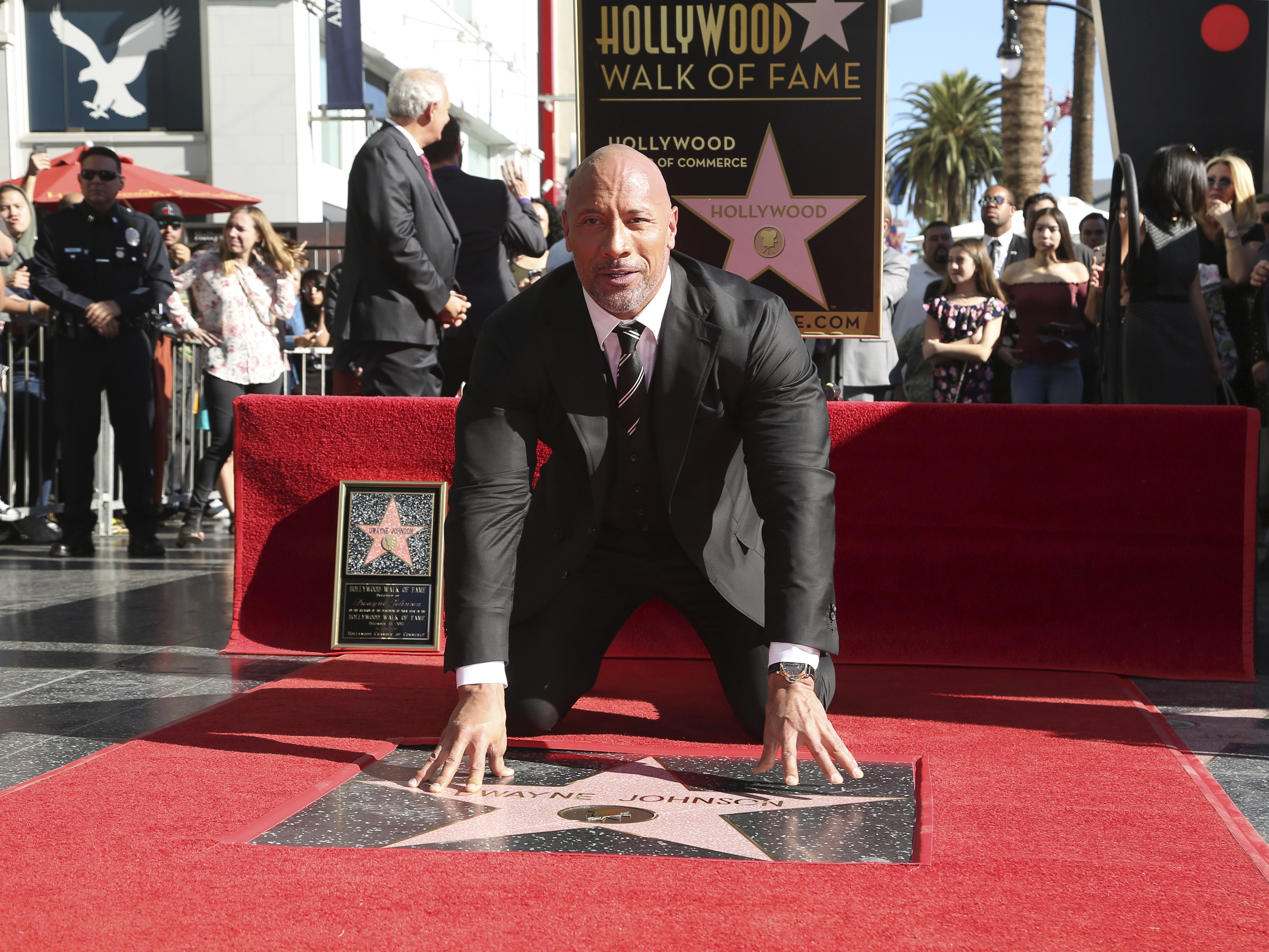 The Rock ảnh 2 The Rock anh 2