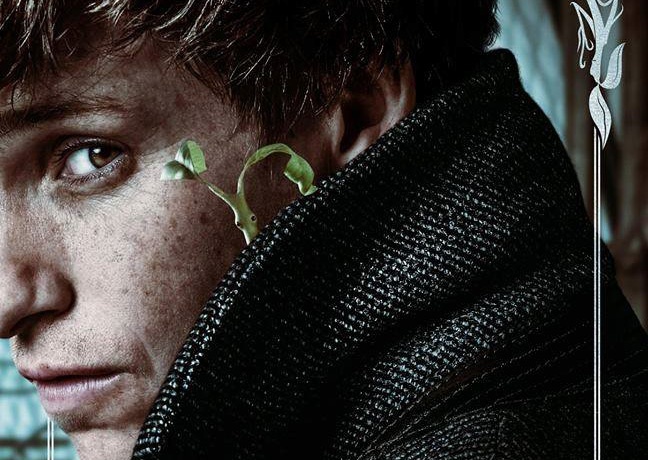 'Fantastic Beasts 2' tung bo poster nhan vat an tuong hinh anh