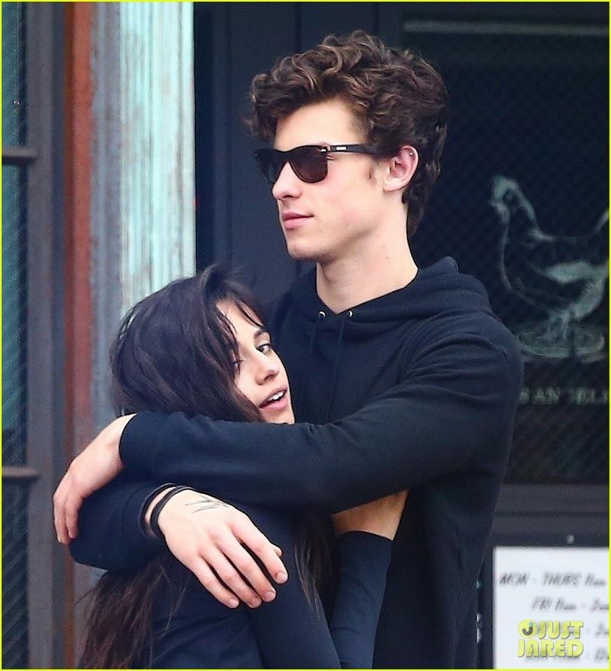 Shawn Mendes hen ho Camila Cabello anh 8