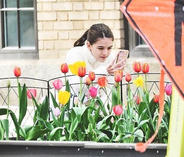 hinh anh Suri Cruise anh 3