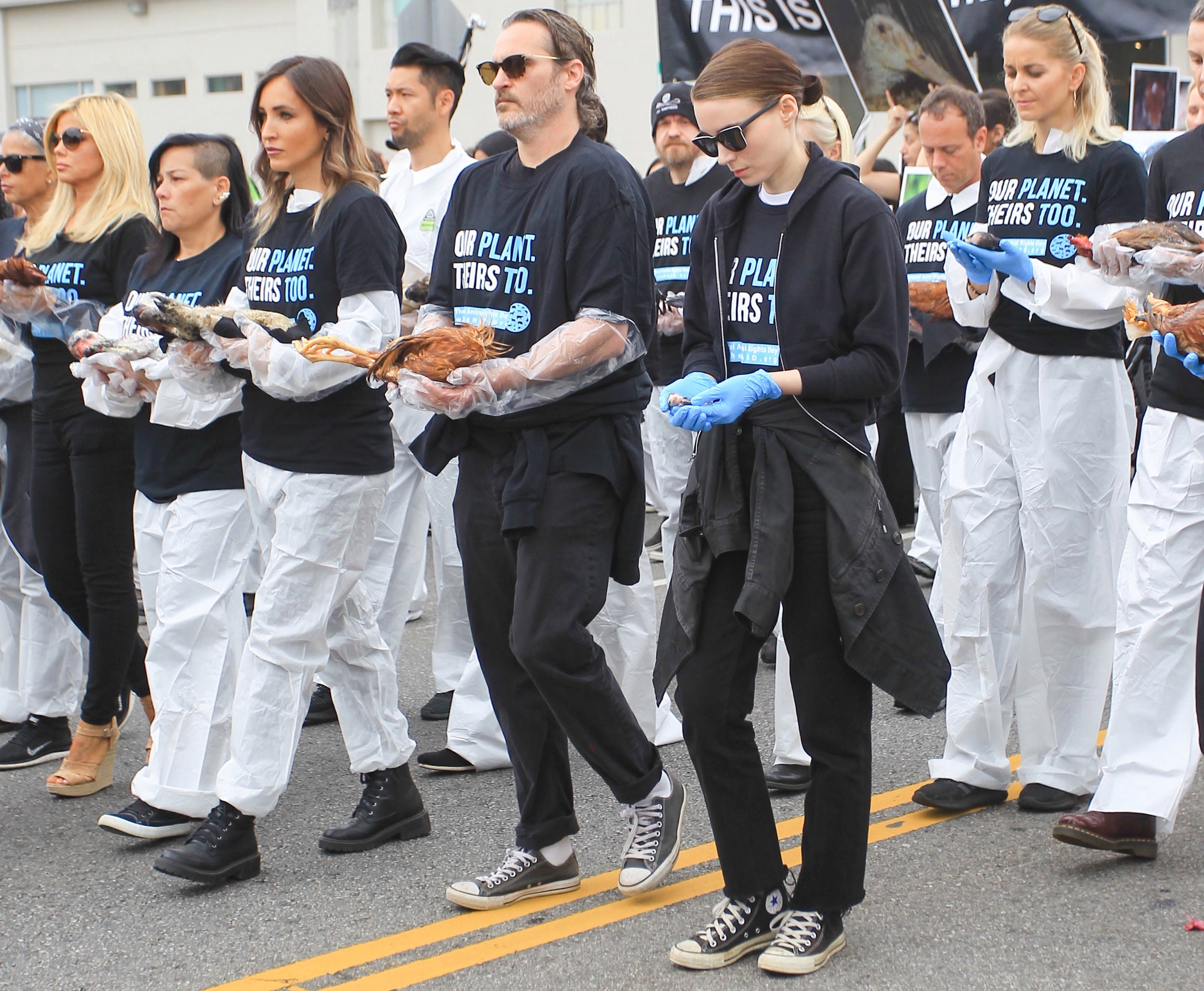 Joaquin Phoenix hen ho Rooney Mara anh 13