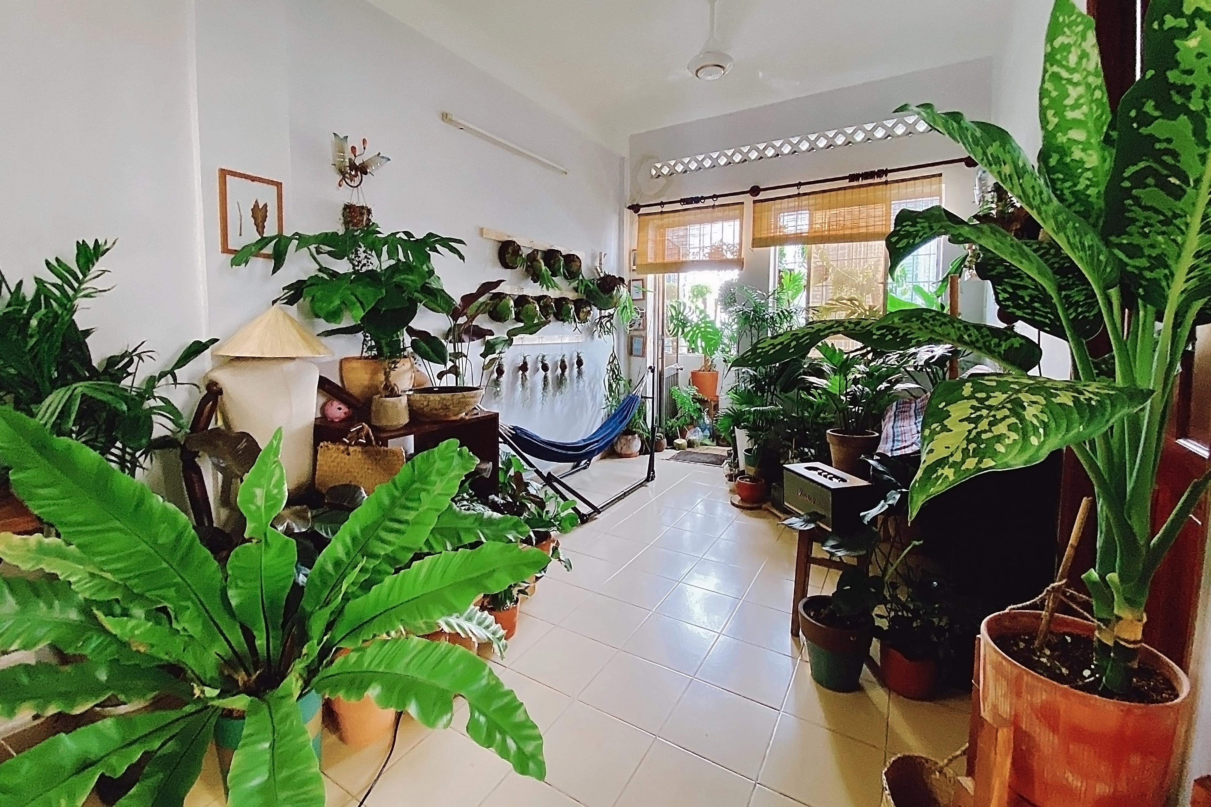 gian cach xa hoi,  anh huong Covid-19, anh 5