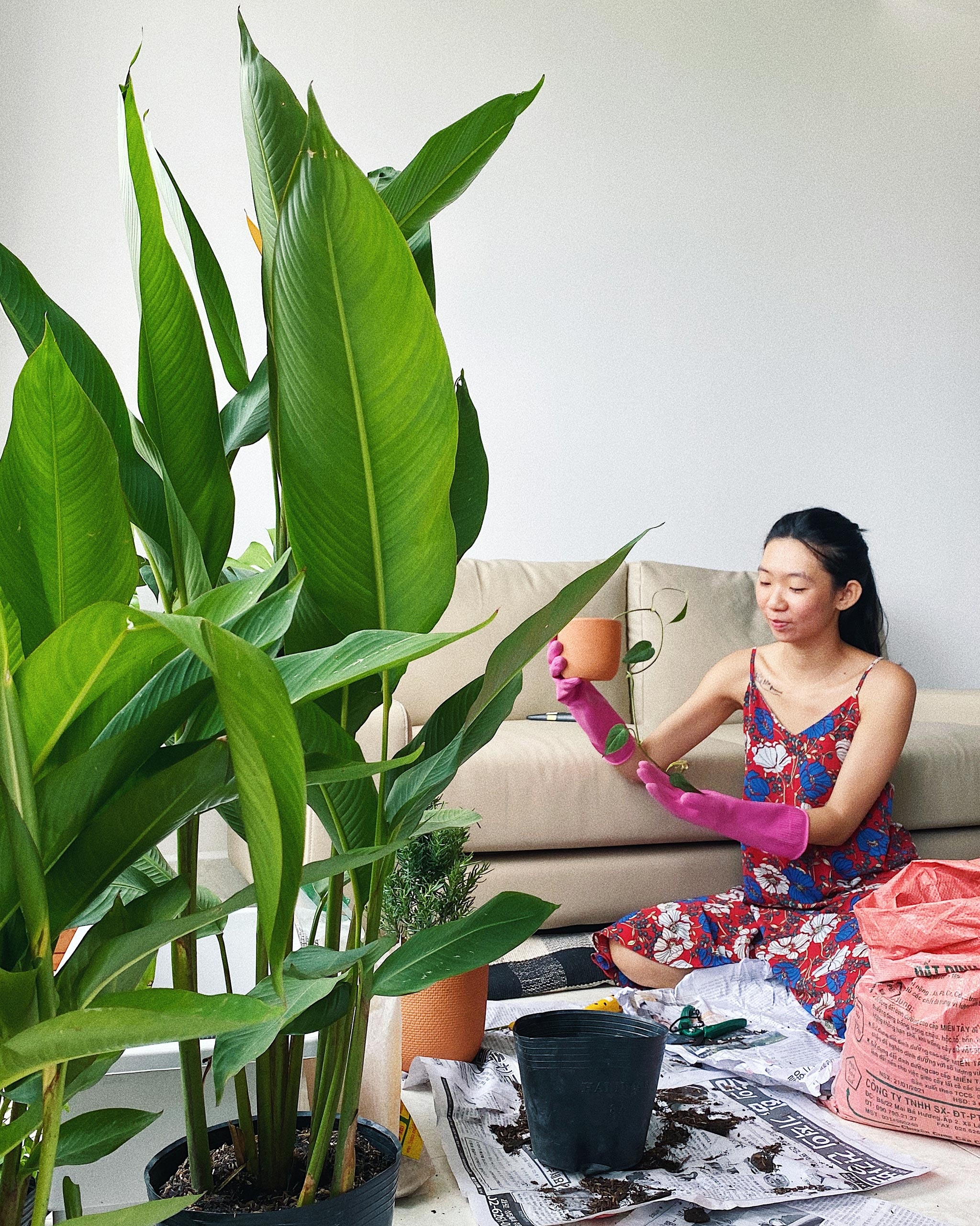 gian cach xa hoi,  anh huong Covid-19, anh 3