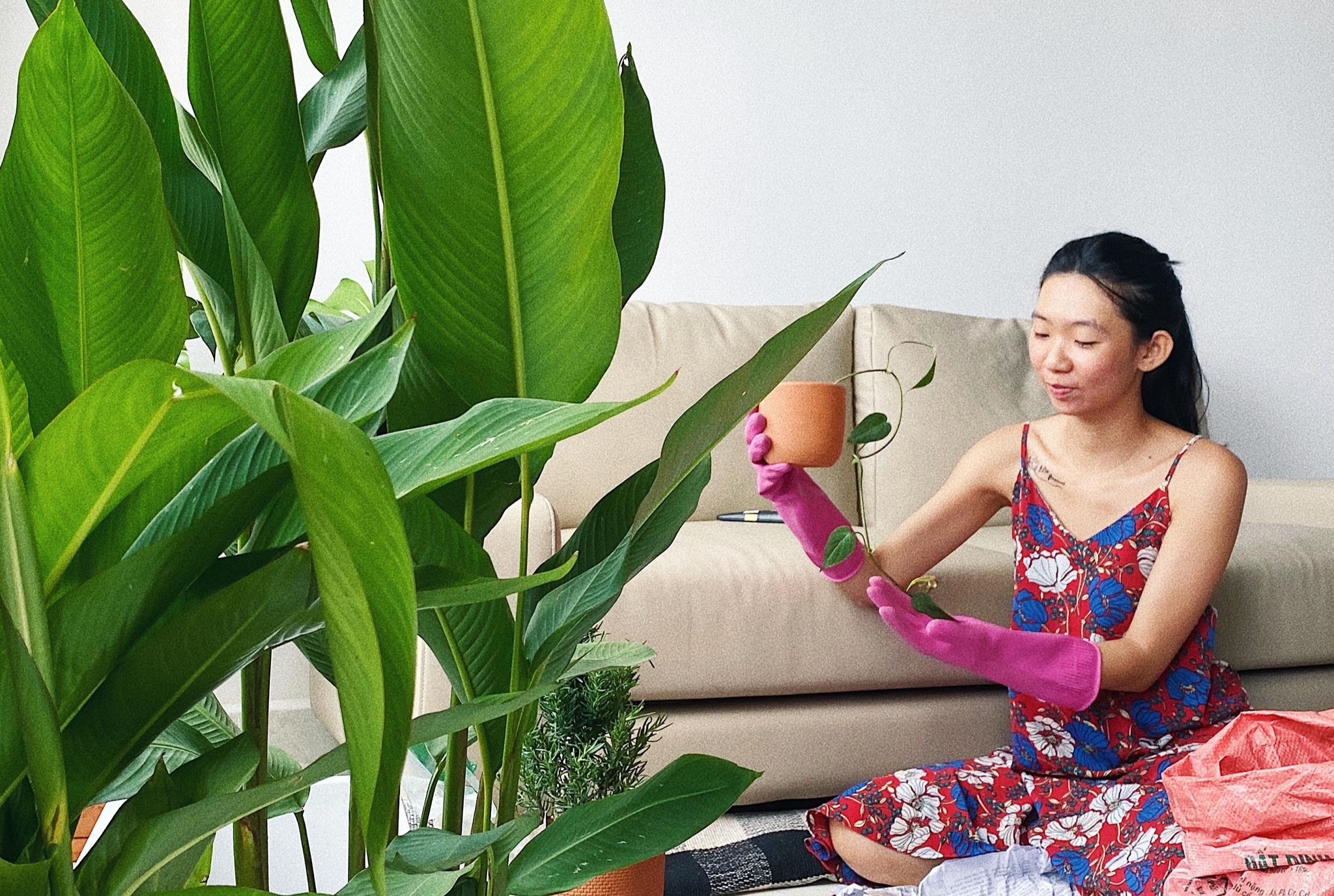 Dan do thi tim niem vui voi cay xanh nhung ngay TP.HCM gian cach hinh anh