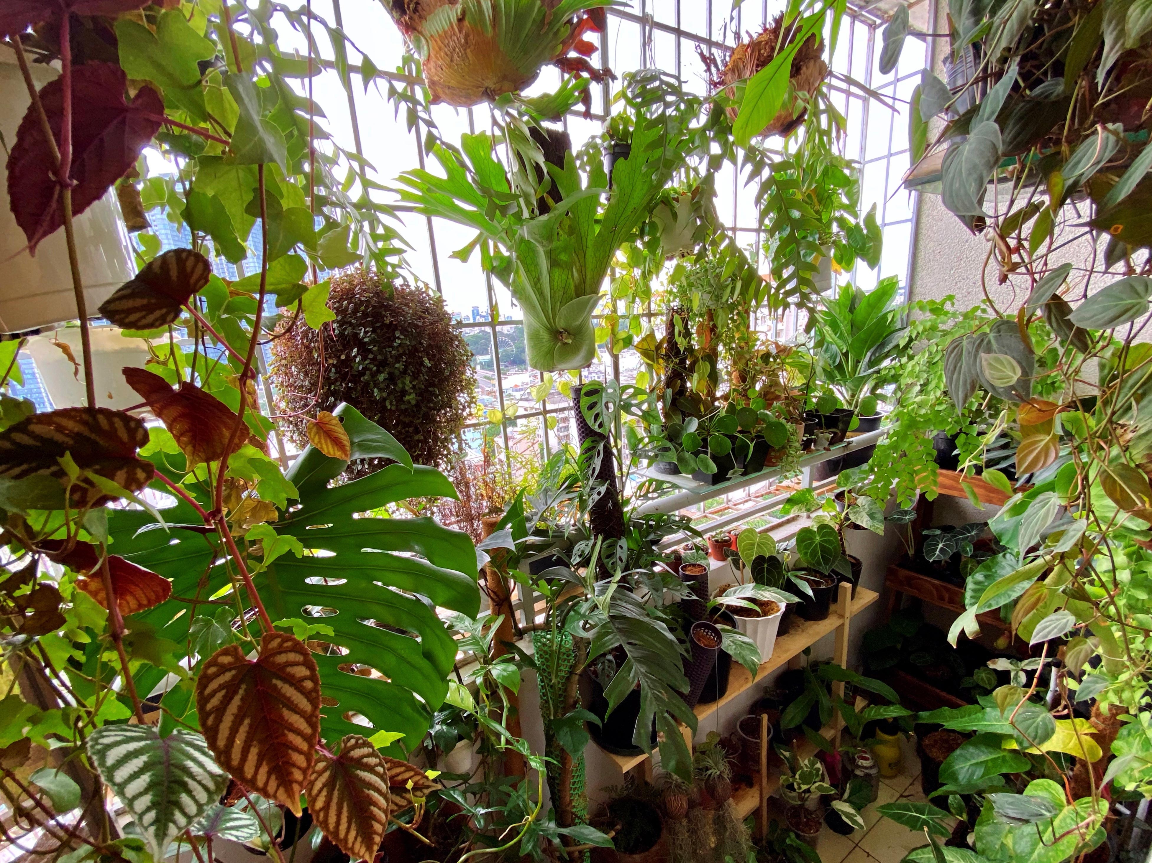 giãn cách xã hội, ảnh hưởng Covid-19, ảnh 2 gian cach xa hoi, anh huong Covid-19, anh 2