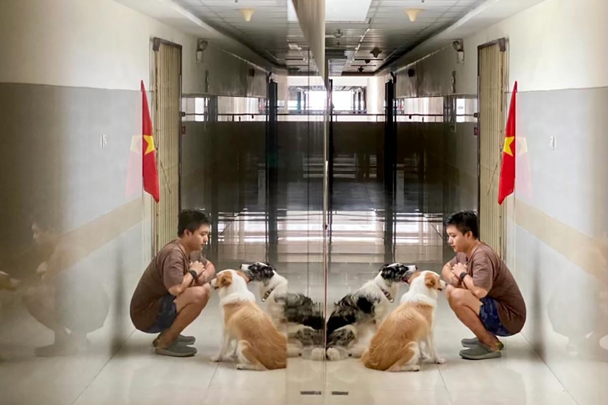 chu nuoi cho o chung cu TPHCM anh 1