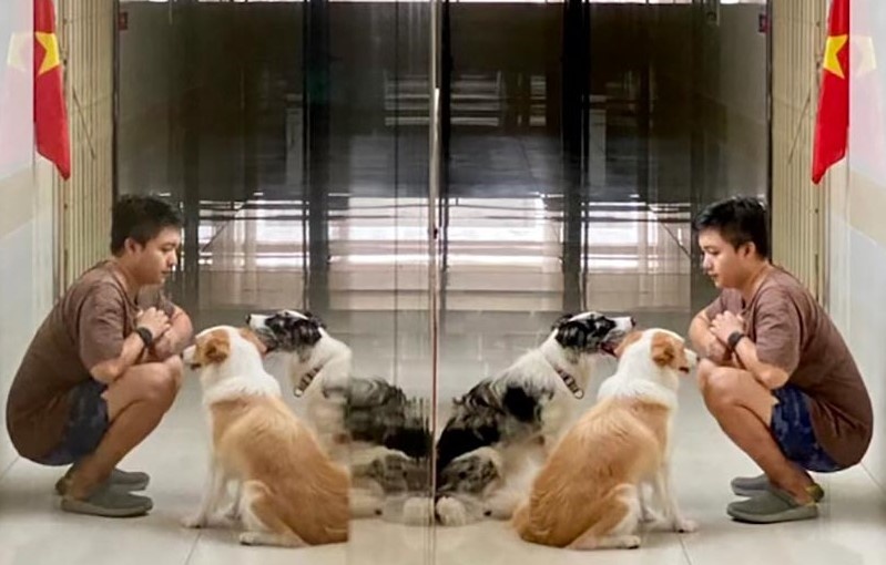 Noi long chu nuoi cho o chung cu TP.HCM mua dich hinh anh