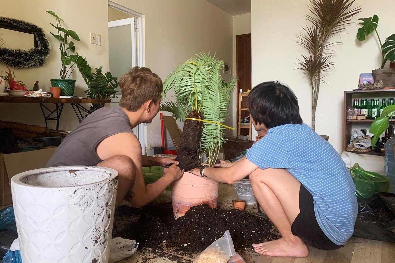 Saigon Metro,  mua dich,  thue can ho chung cu,  gian cach xa hoi,  o ghep,  chung cu TPHCM anh 2