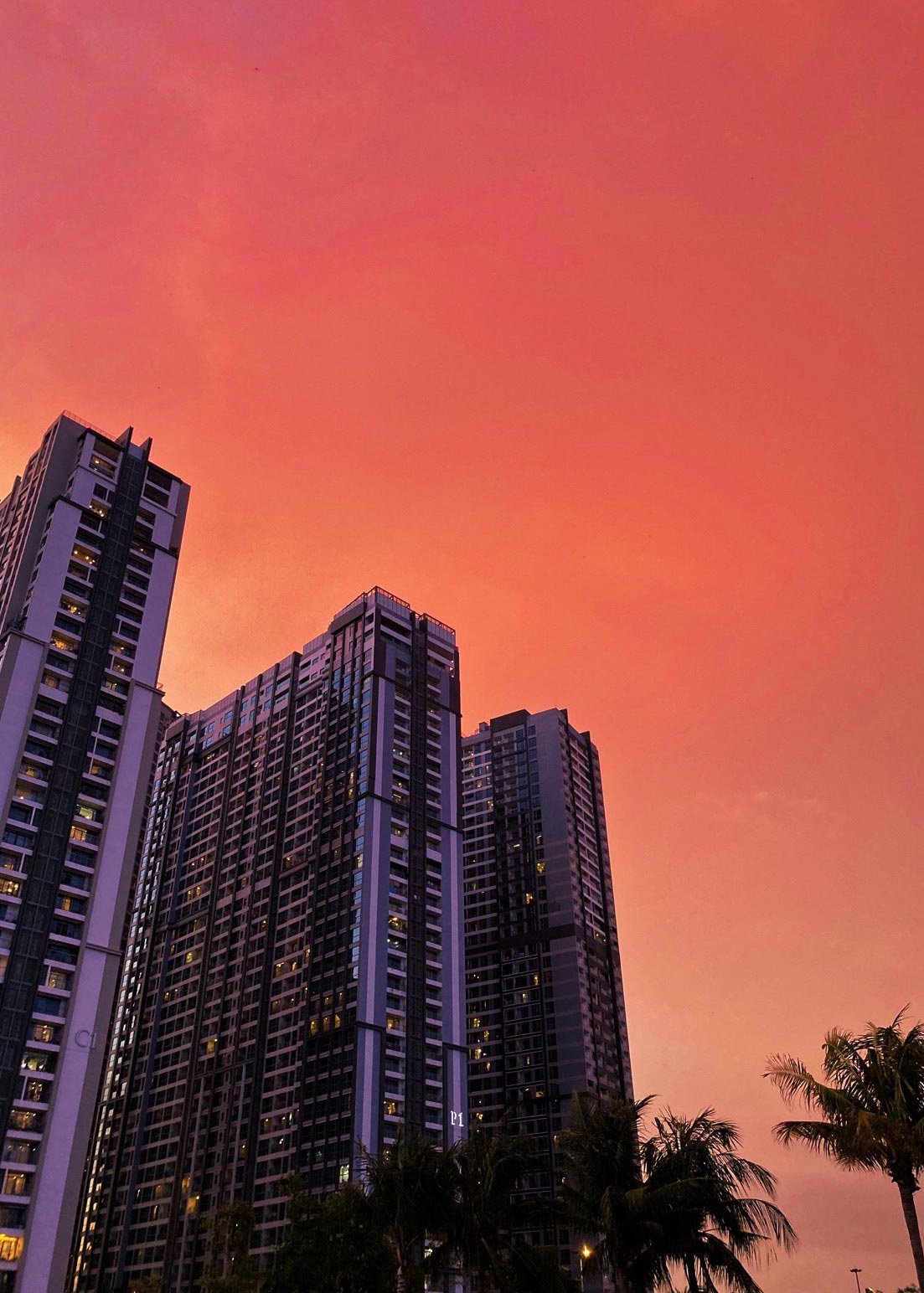 hoang hon TP.HCM thoi gian cach anh 5