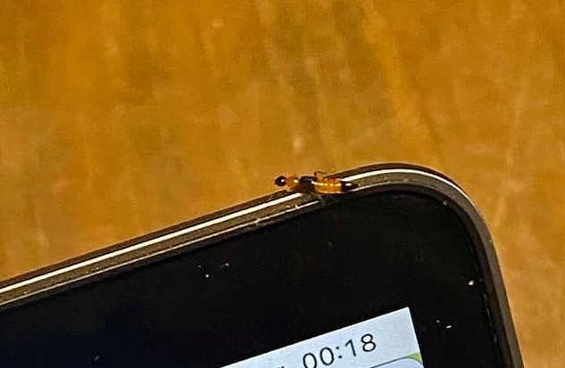 kien ba khoang o chung cu anh 1