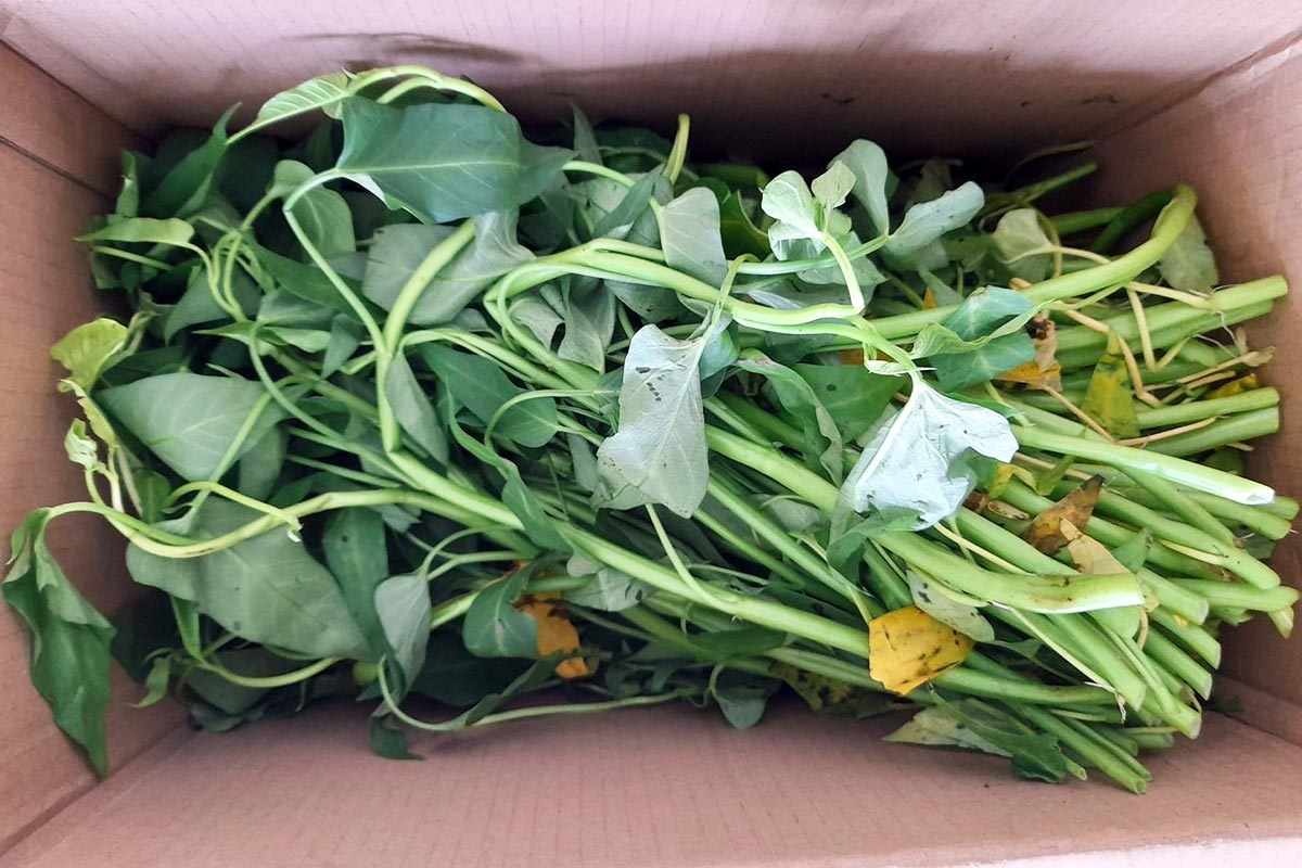 ong Tay xao rau muong anh 1