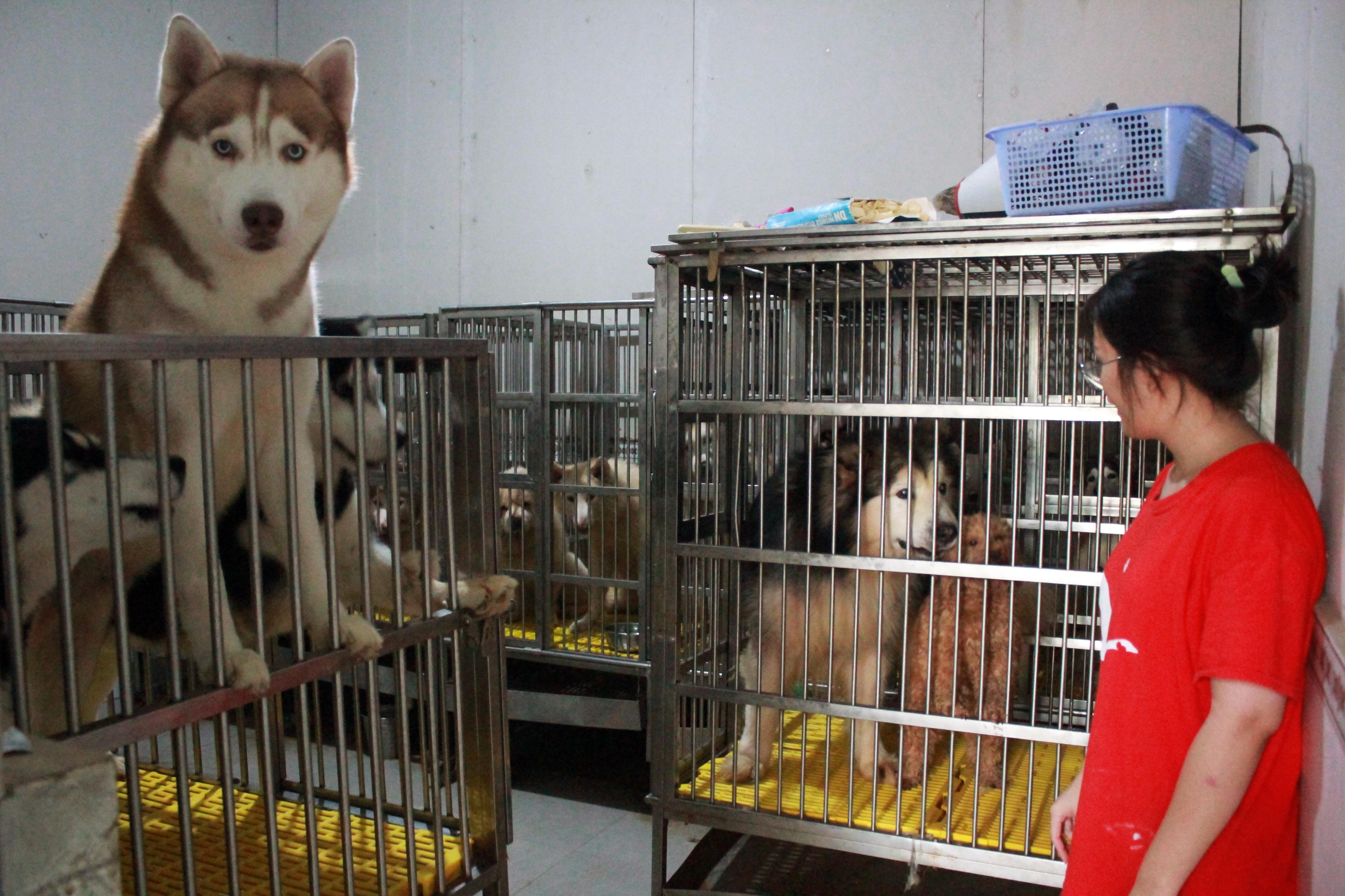 quan ca phe thu cung TP.HCM anh 1