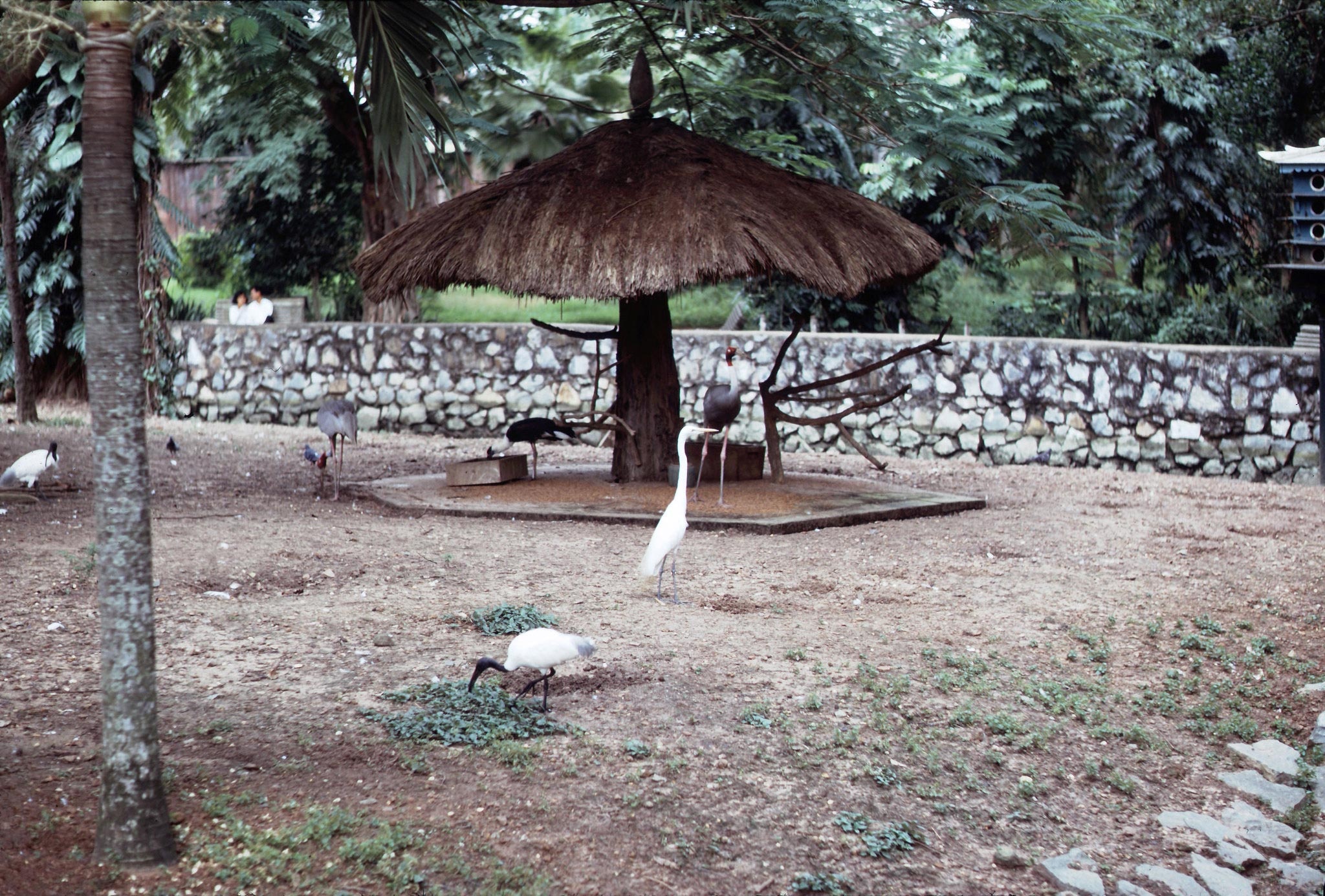 Thao Cam Vien Sai Gon anh 4