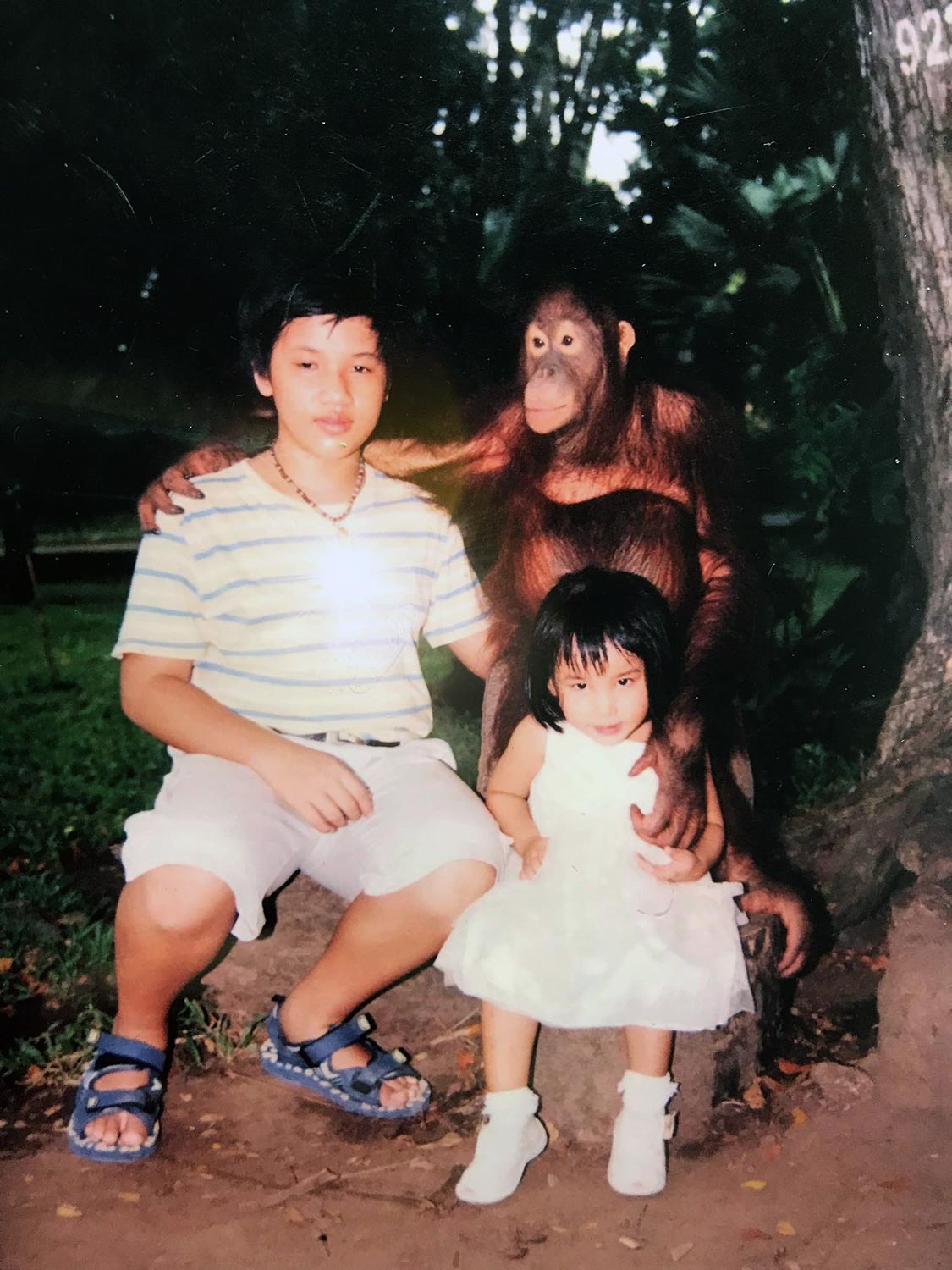 Thao Cam Vien Sai Gon anh 6