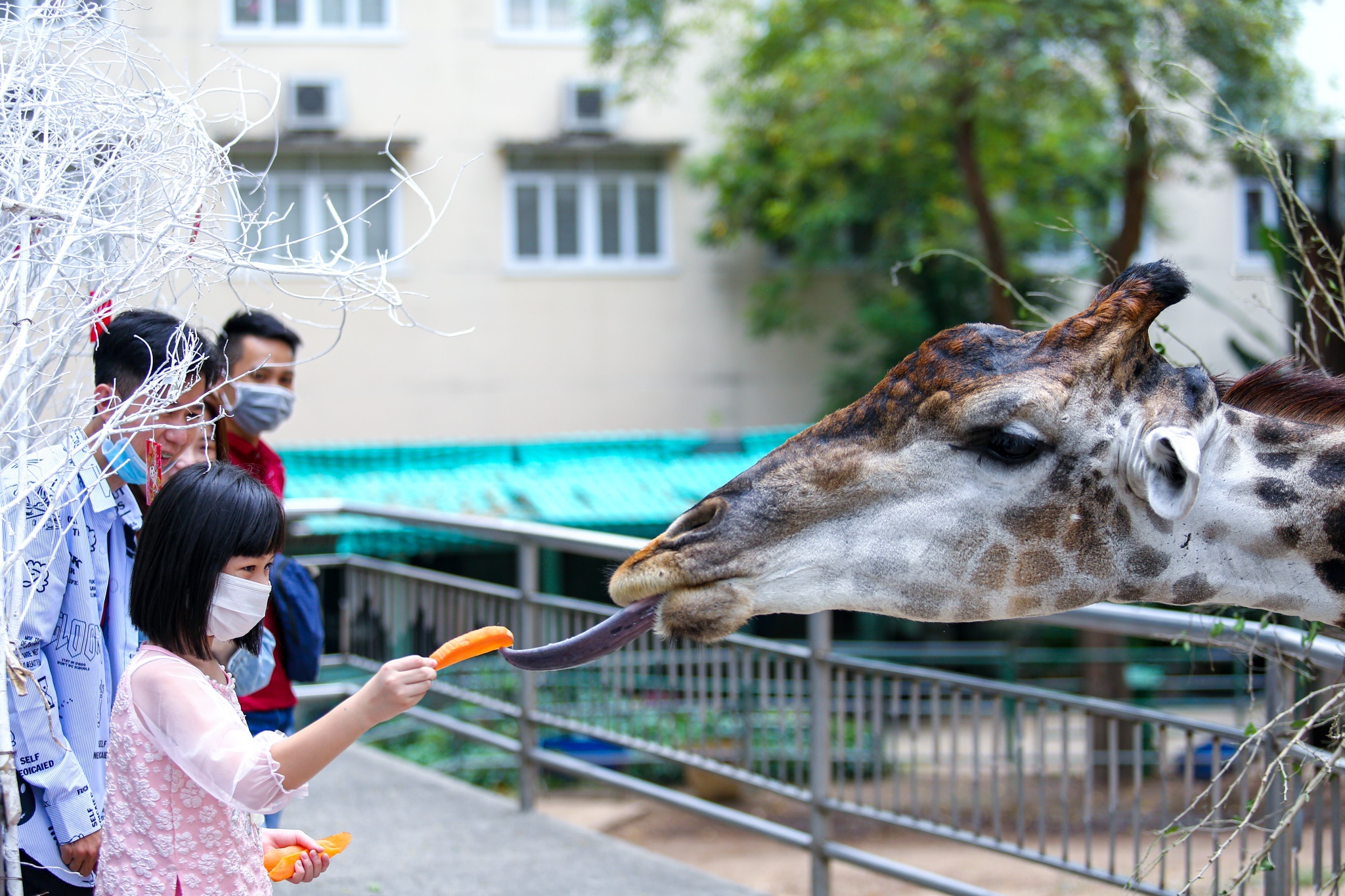 Thao Cam Vien Sai Gon anh 10