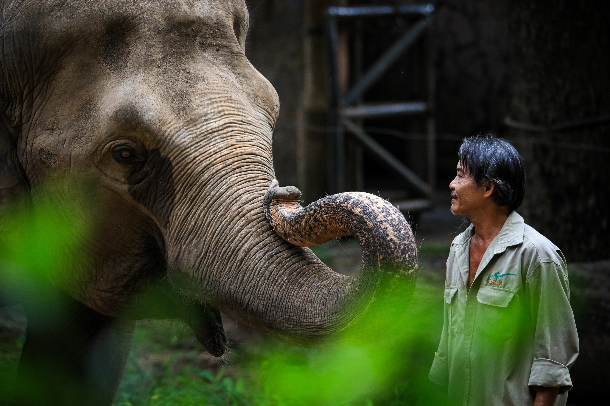 Nguoi dan TP.HCM nho tuoi tho o Thao Cam Vien hinh anh