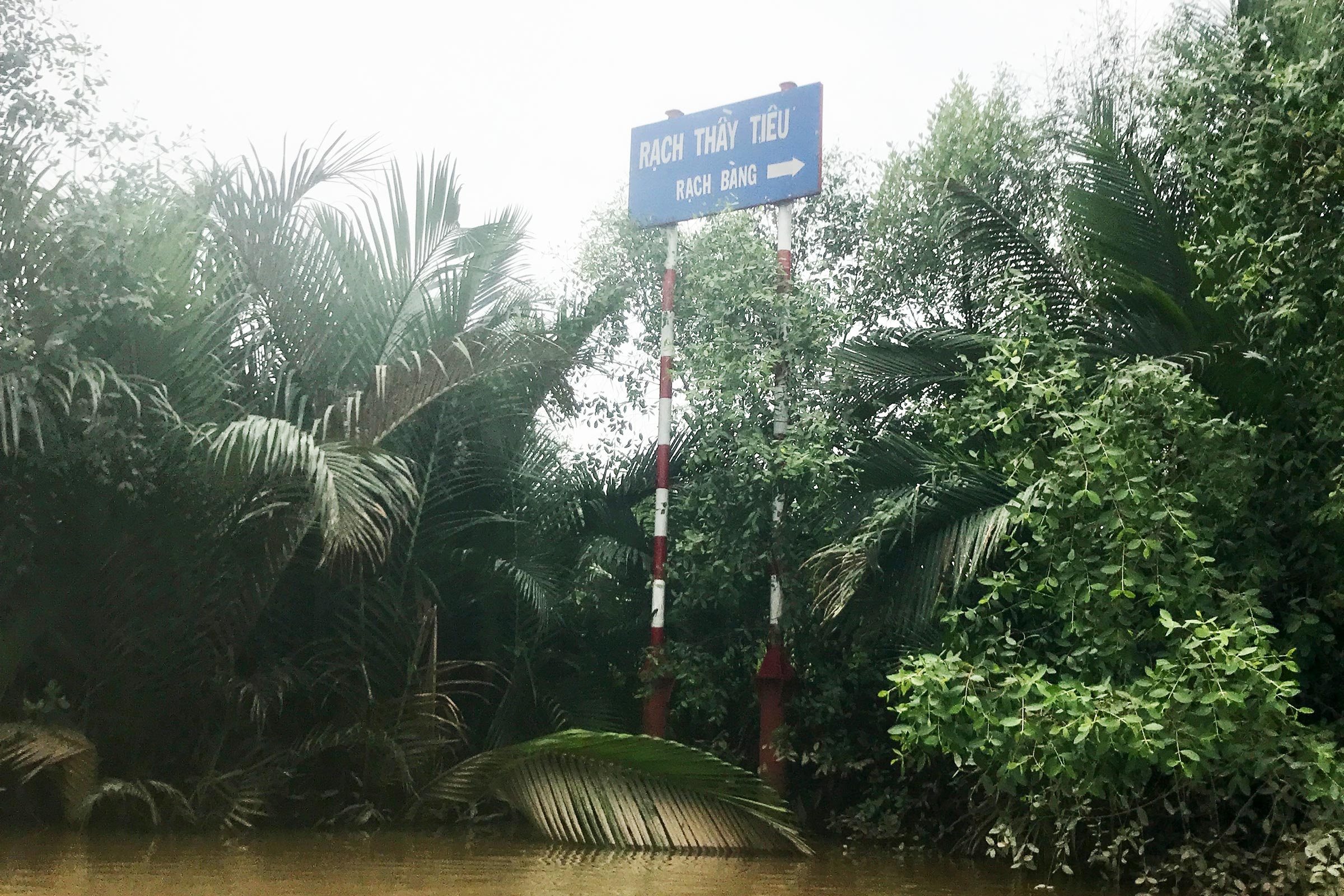 cheo SUP TPHCM anh 7