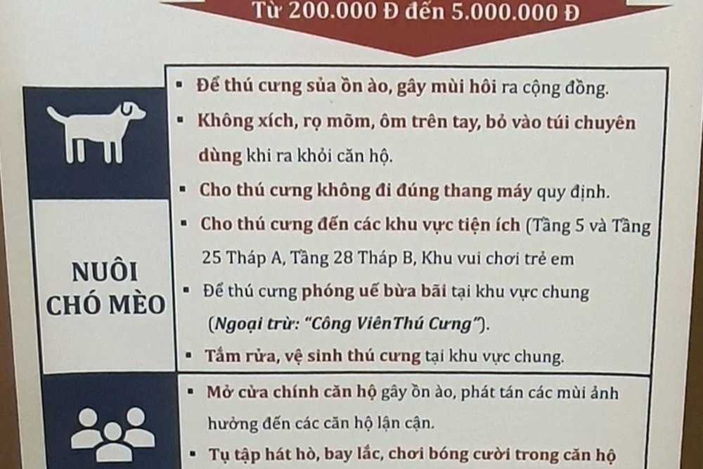 nuoi thu cung trong chung cu anh 3