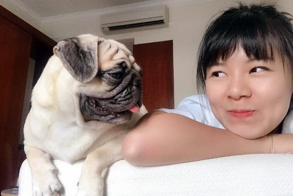 Nguoi nuoc ngoai o TP.HCM: Can co quy dinh ve vat nuoi trong chung cu hinh anh