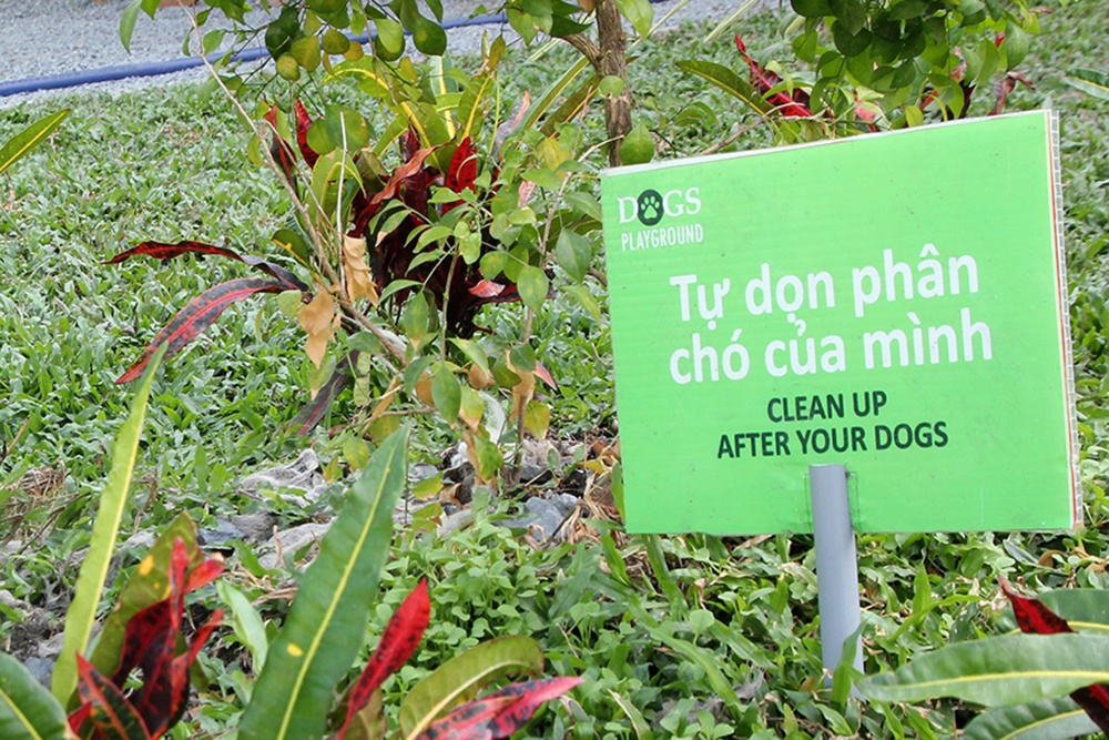 nuoi thu cung trong chung cu anh 2