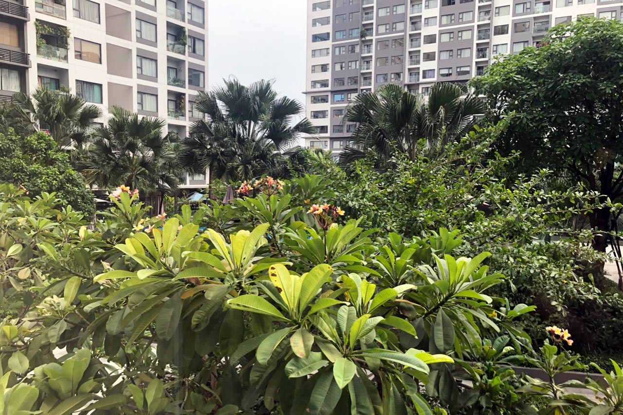 cu dan song o tang thap chung cu anh 3