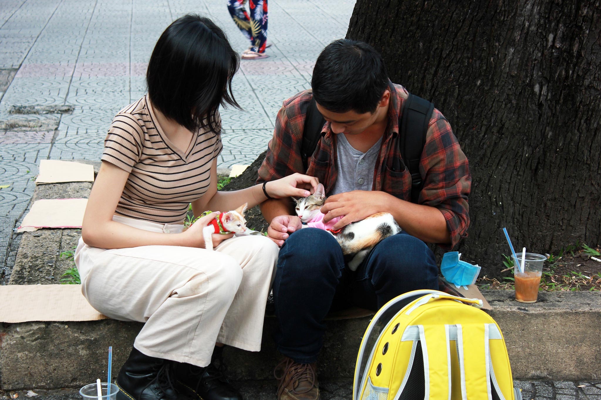 tham gia hoạt động ngoài trời ở TPHCM ảnh 8 tham gia hoat dong ngoai troi o TPHCM anh 8