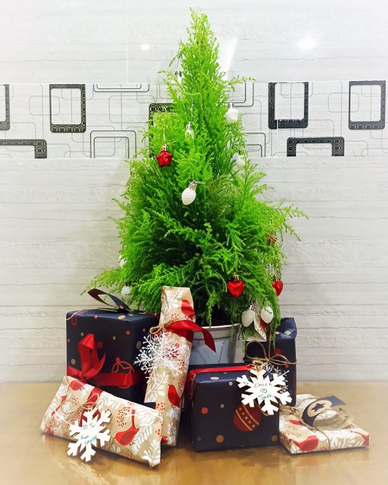 nguoi nuoc ngoai o TP.HCM don Giang sinh anh 1