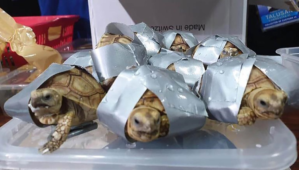 ban rua tren via he TP.HCM anh 2