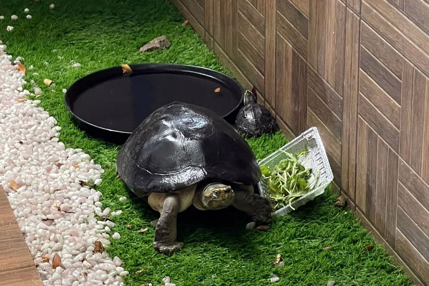 ban rua tren via he TP.HCM anh 3