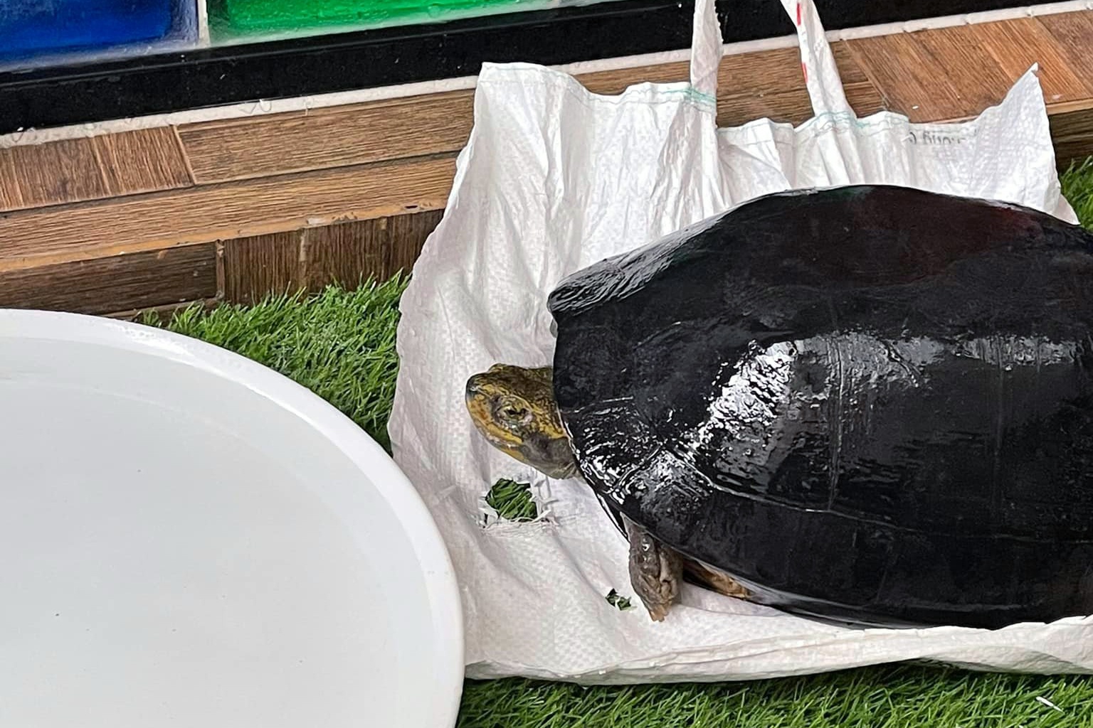 ban rua tren via he TP.HCM anh 4