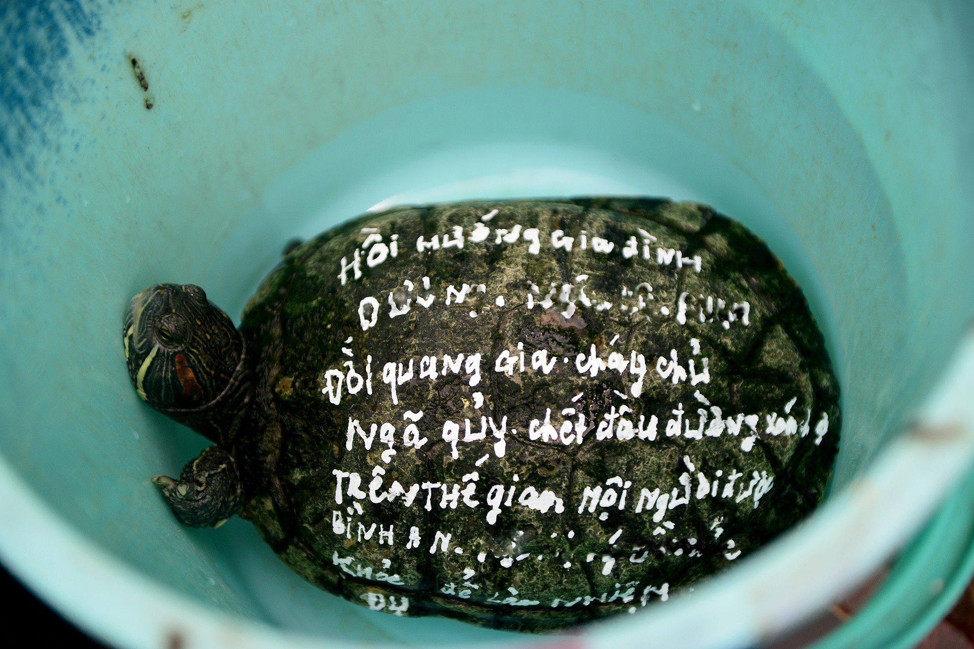 ban rua tren via he TP.HCM anh 6