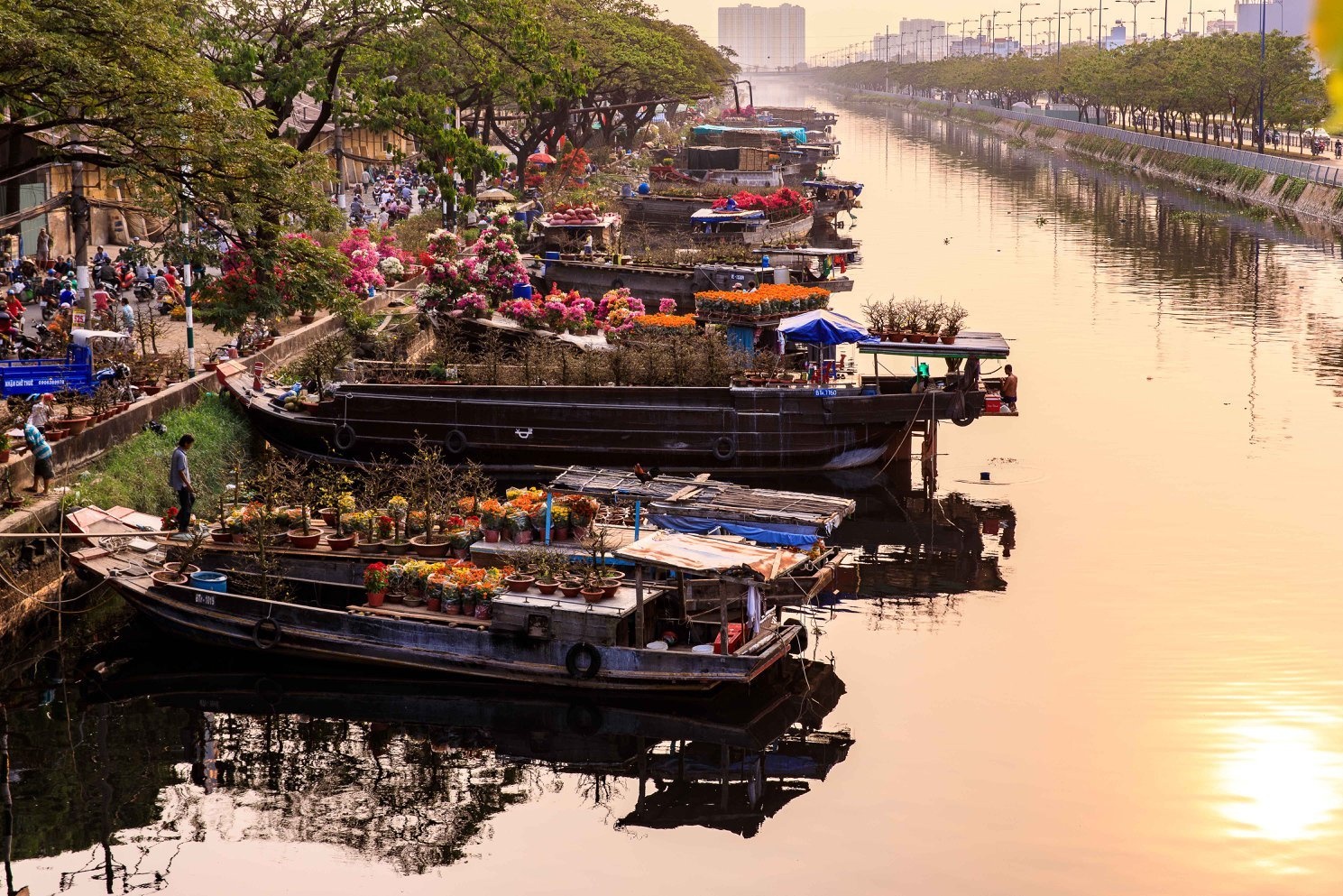 nguoi nuoc ngoai don Tet o TP.HCM anh 9