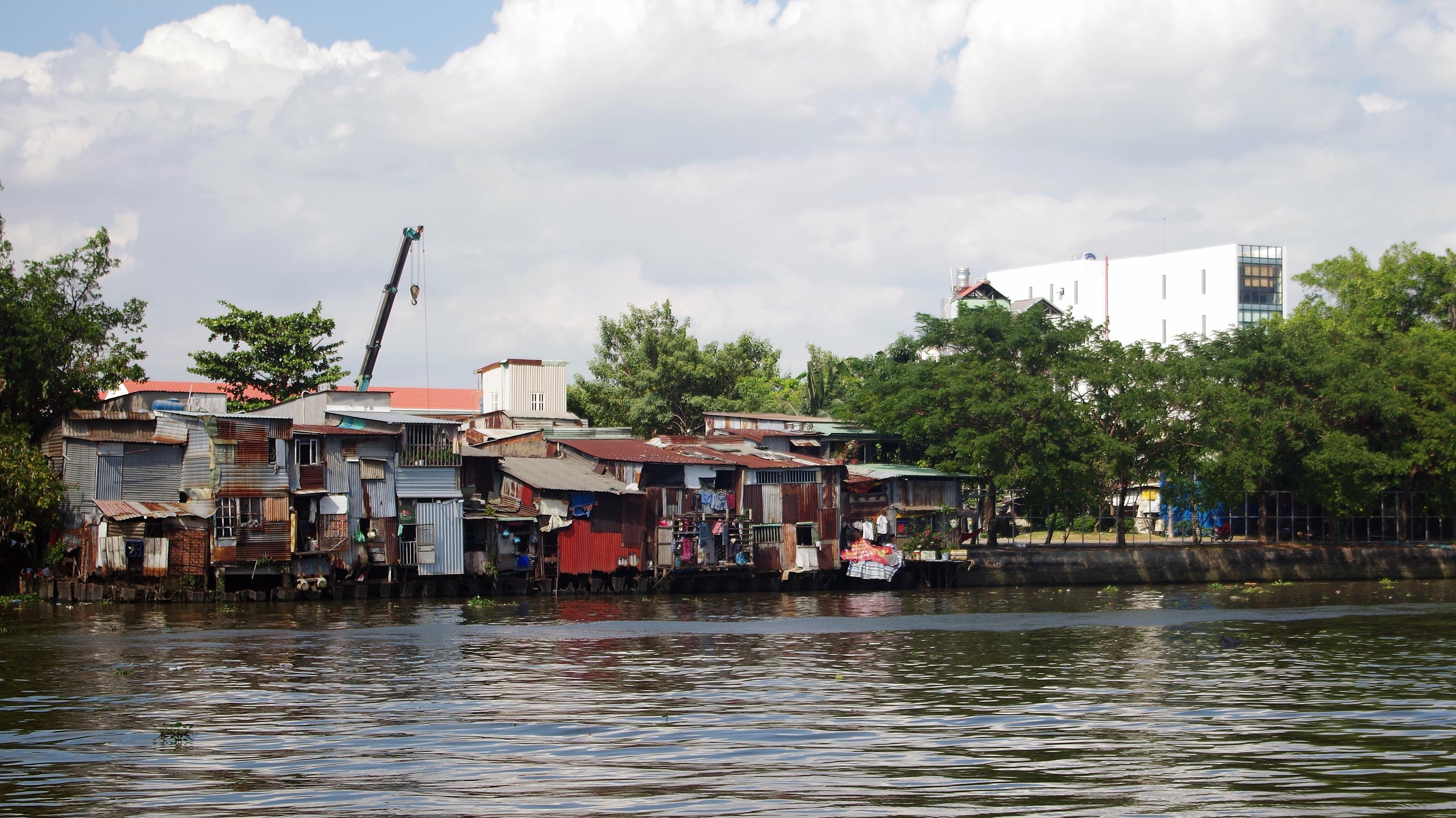 Dua con di tim cong vien moi o TP.HCM anh 1