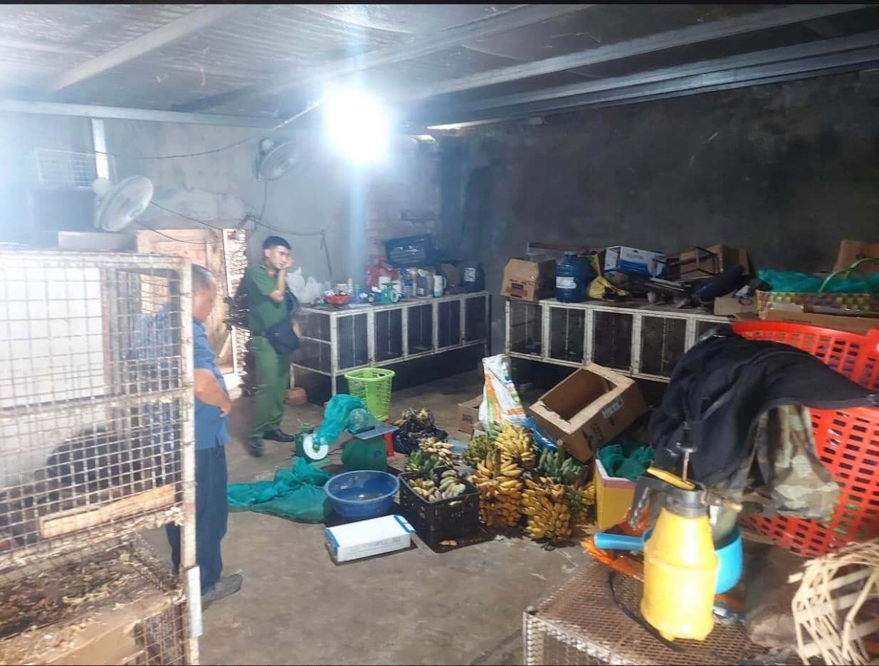 Phat hien nhieu dong vat hoang da trong nha dan anh 1