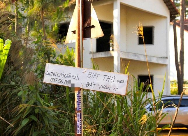 Phat hien hang loat biet thu,  homestay chiem dat rung o Mang Den anh 1