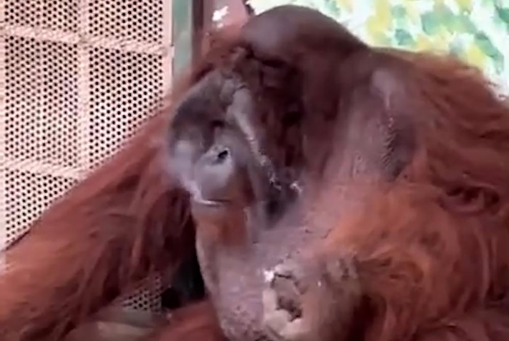 Xon xao clip quay canh duoi uoi o TP.HCM hut thuoc hinh anh