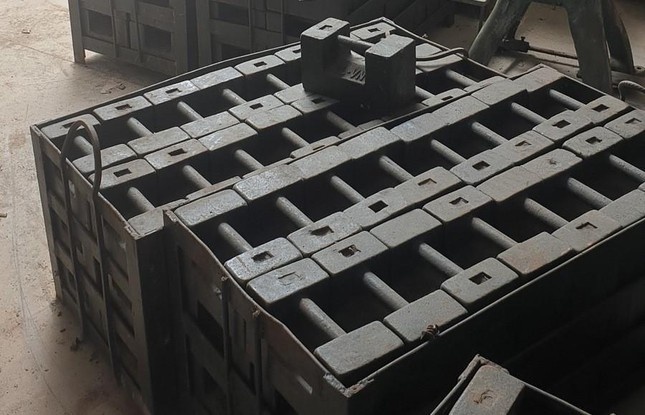 So Khoa hoc - Cong nghe Bac Giang bi mat cap hon 300 qua can 7,5 tan hinh anh